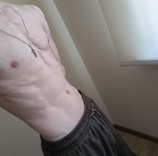 Alexandermuslf