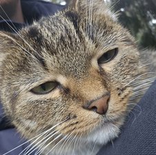 QWEZ555