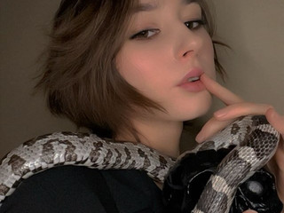 Snake snake snake