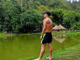 Profile