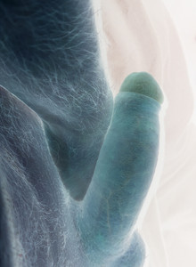 Bigdik333 My Photos photo 14893810