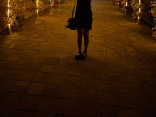 My Photos