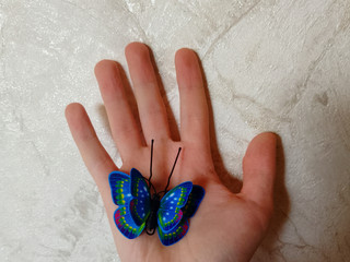 Photo12