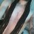 DreadObsessionX