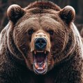 Grizli95