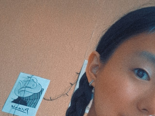 Braids 