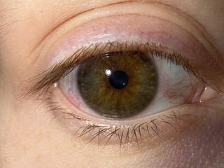 my eyes