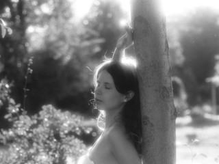 Fairy1