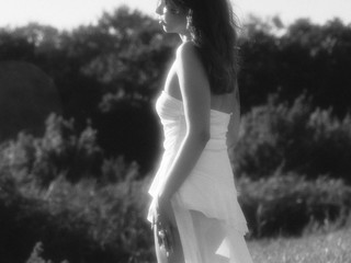 Fairy5