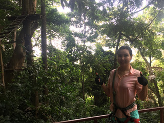 Jungle