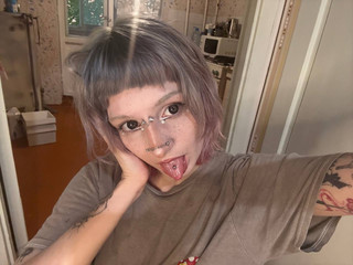 Album 13