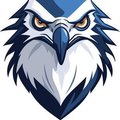 FalconX