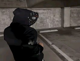 Niko493