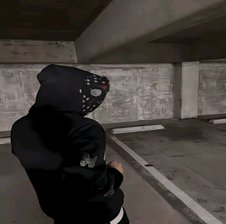 Niko493