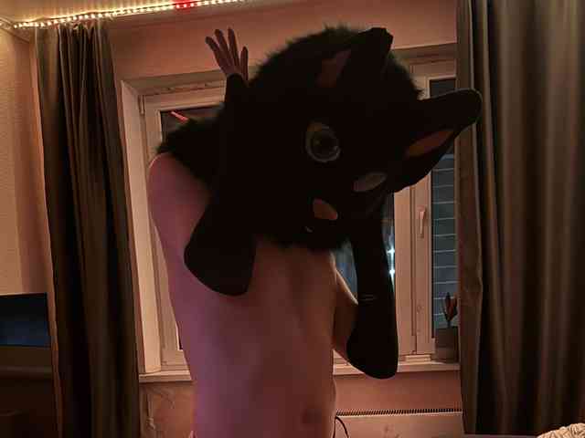 Alexfurboy1