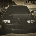05Schnitzer05