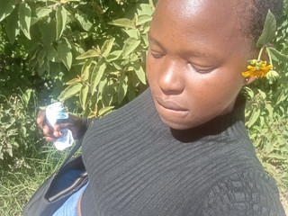 My Photos