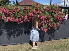 CreamRaspberrya Live Webcam on BongaCams