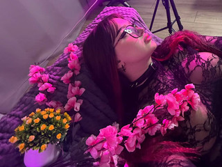 sakura vibe