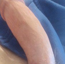 Donkeydicc60a