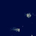 Vlad0501