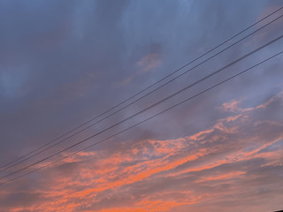 My Photos