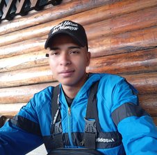 Axelgaell