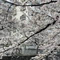 hirosheph0908