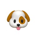 PuppyHoney