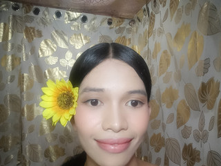 My Photos