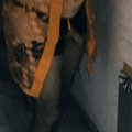 ANALCHIK5