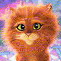 User572