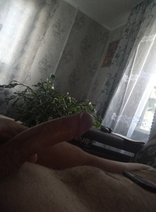 YTheo My Photos photo 15038549