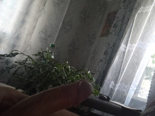 My Photos