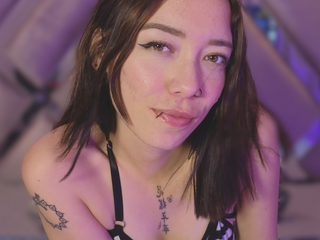 🐰