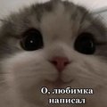 Aslo1111