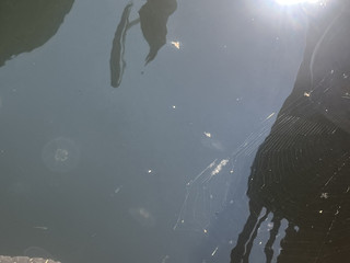 My Photos