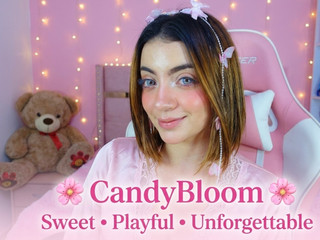 Sugar, Smiles & Secrets