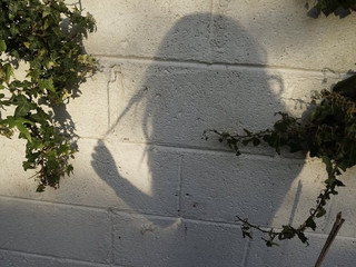 My Photos