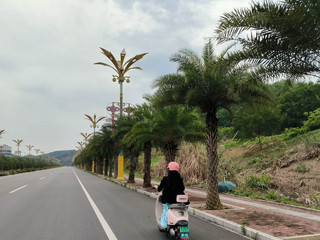 My Photos