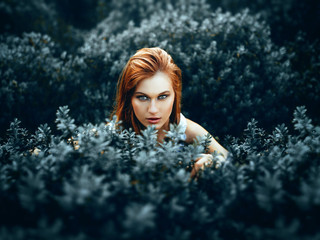 My Photos