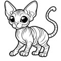 Baby-Cleo