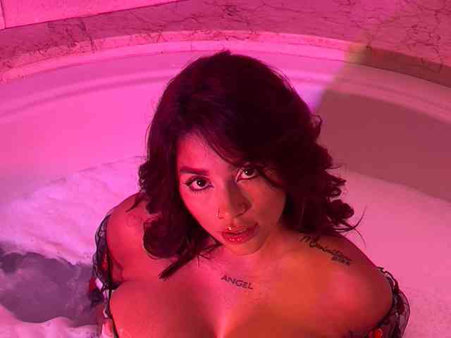 taylordoll