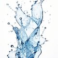 Kirillsquirt