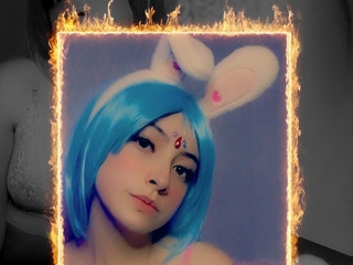 bunny