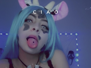 cow
