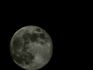 THE MOON🌙