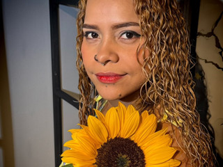GIRASOL
