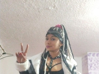 my styles with braids