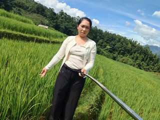 My Photos